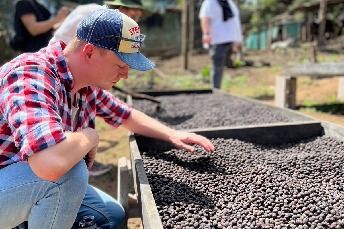 Smak życia znaleziony w ziarnach