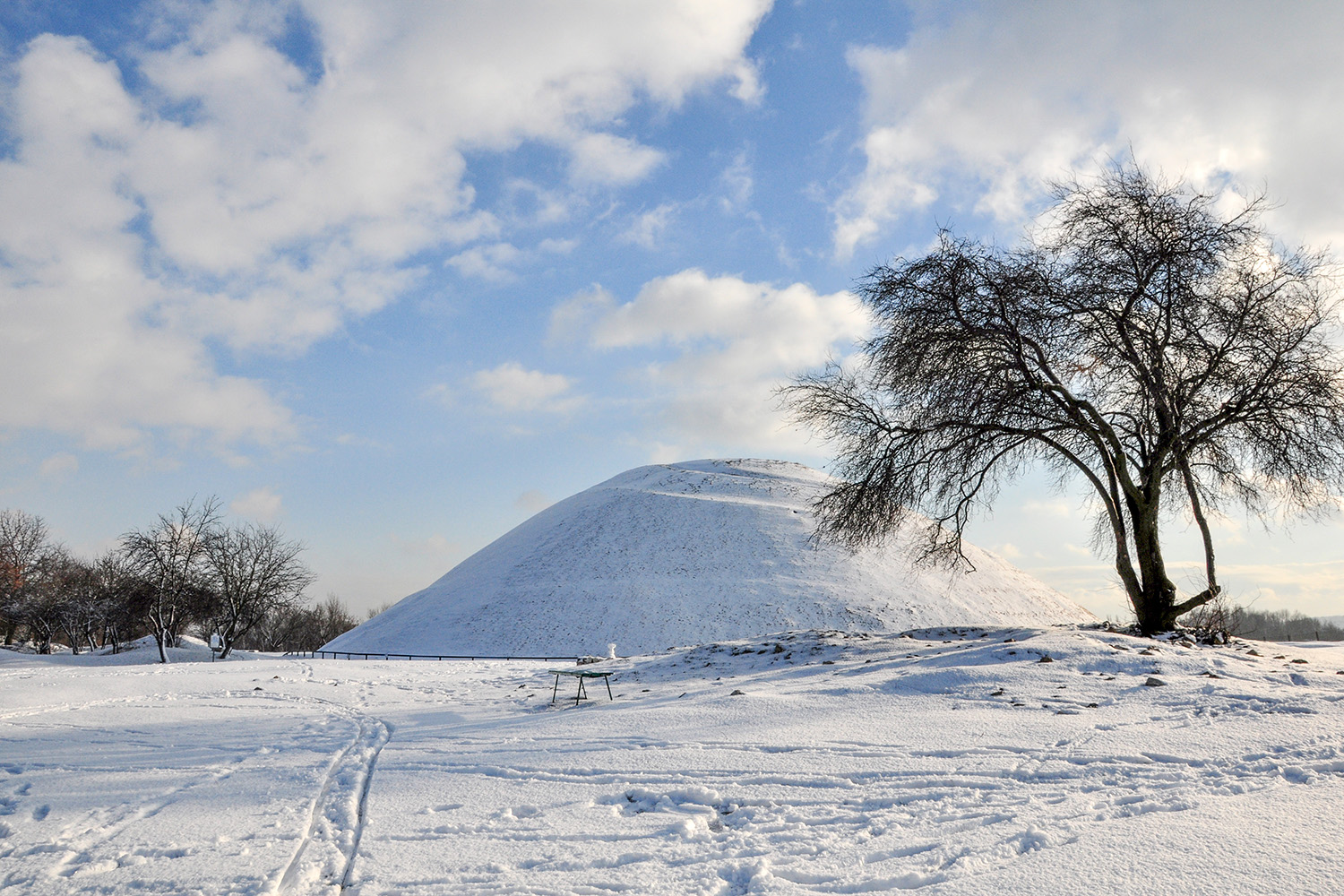 Spotkanie przedstawicieli Rady i Zarządu Zieleni Miejskiej